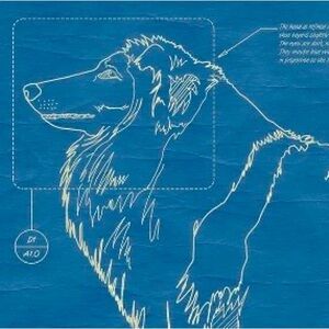 Collie Blueprint Wall Art, NIP, Architectural-style blueprint